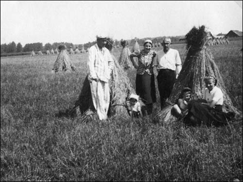 Manor of Achmatowicz . Harvest  - Manor of Achmatowicz. Harvest