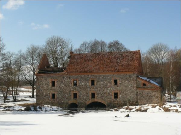 Дворышча |  Гаспадарчы двор . Млын у Дварышчы (03.2010)