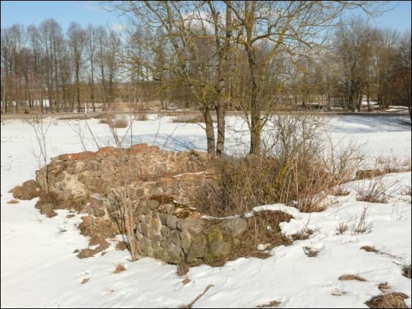  - Гаспадарчы двор . Рэшткі лядоўні (03.2010)