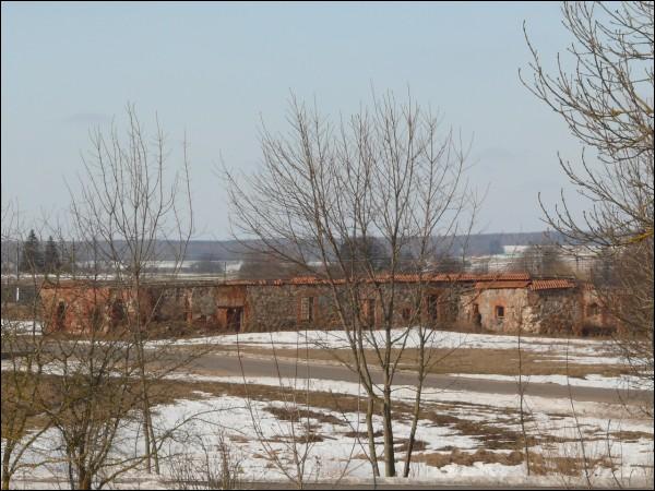  - Гаспадарчы двор . Гаспадарчыя пабудовы (03.2010)