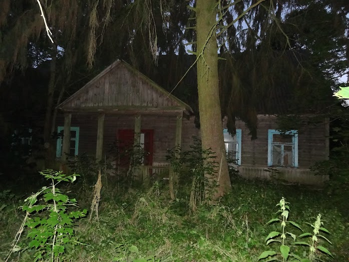 Radzivoniški. Manor 