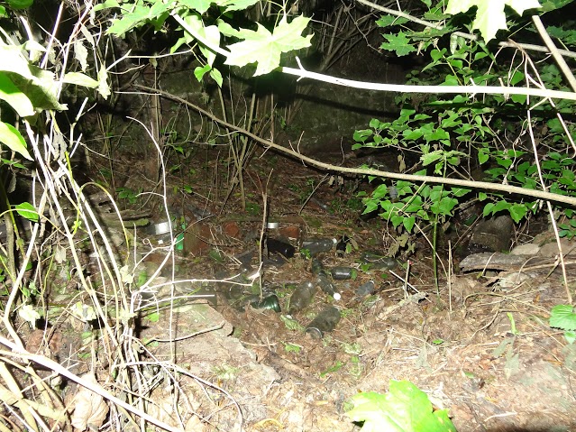 Radzivoniški. Manor 