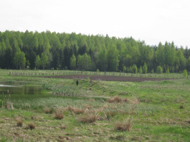 Dzieviatni. Manor of Chodźka