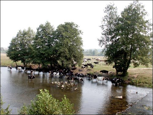 Воўчын. Млын вадзяны 