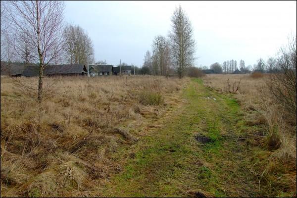 Якубавічы. Краявіды 