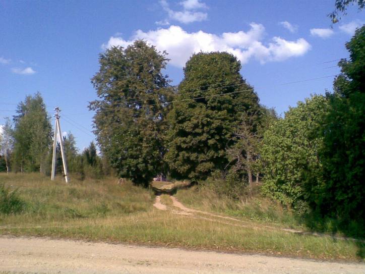  - Краявіды . 