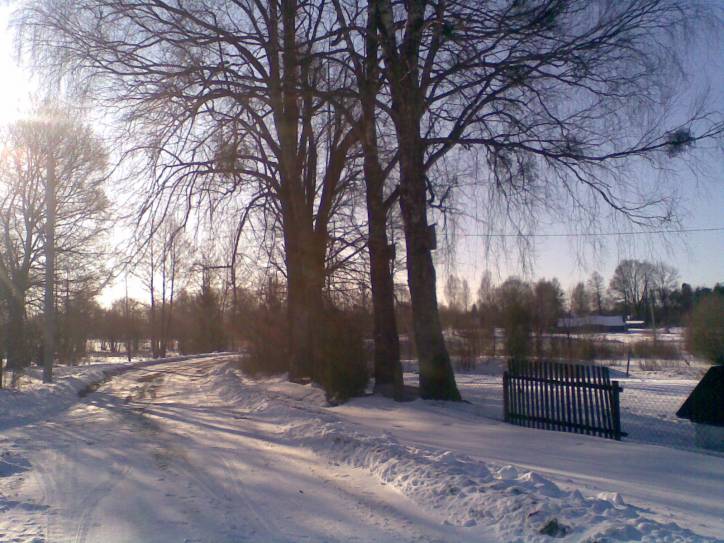  - Краявіды . 