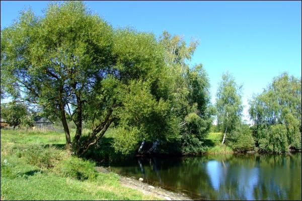 Pieršamajskaja (Sabakincy). In the village 