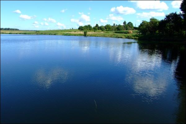 Першамайская (Сабакінцы) |  У вёсцы . Возера. Лета 2009 г.