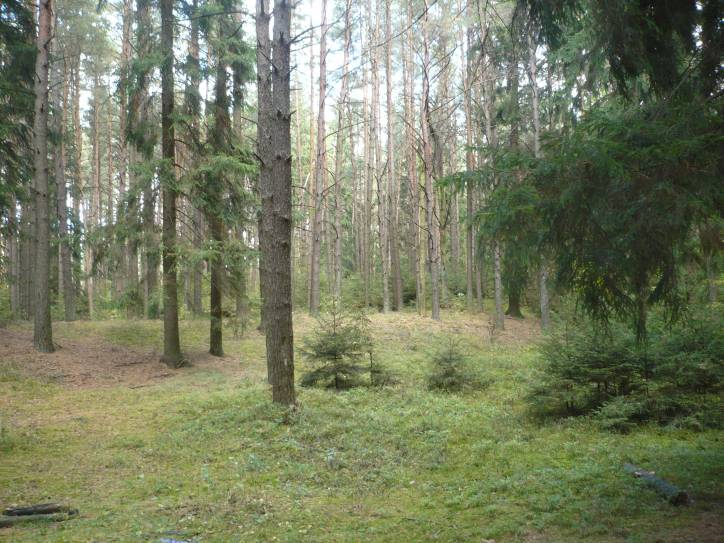 Pieršamajskaja (Sabakincy). In the village 