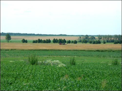 Воўчын. Краявіды 