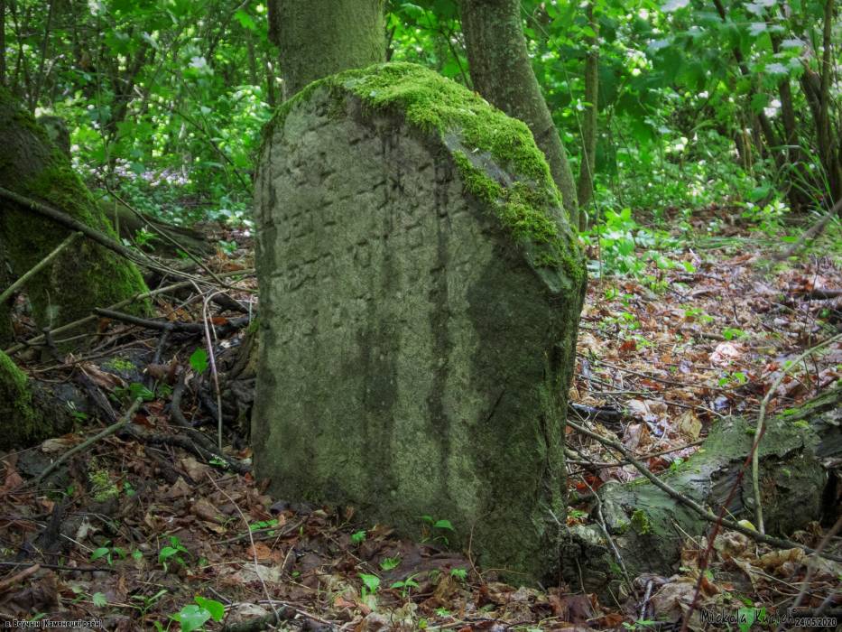 Воўчын. Краявіды 