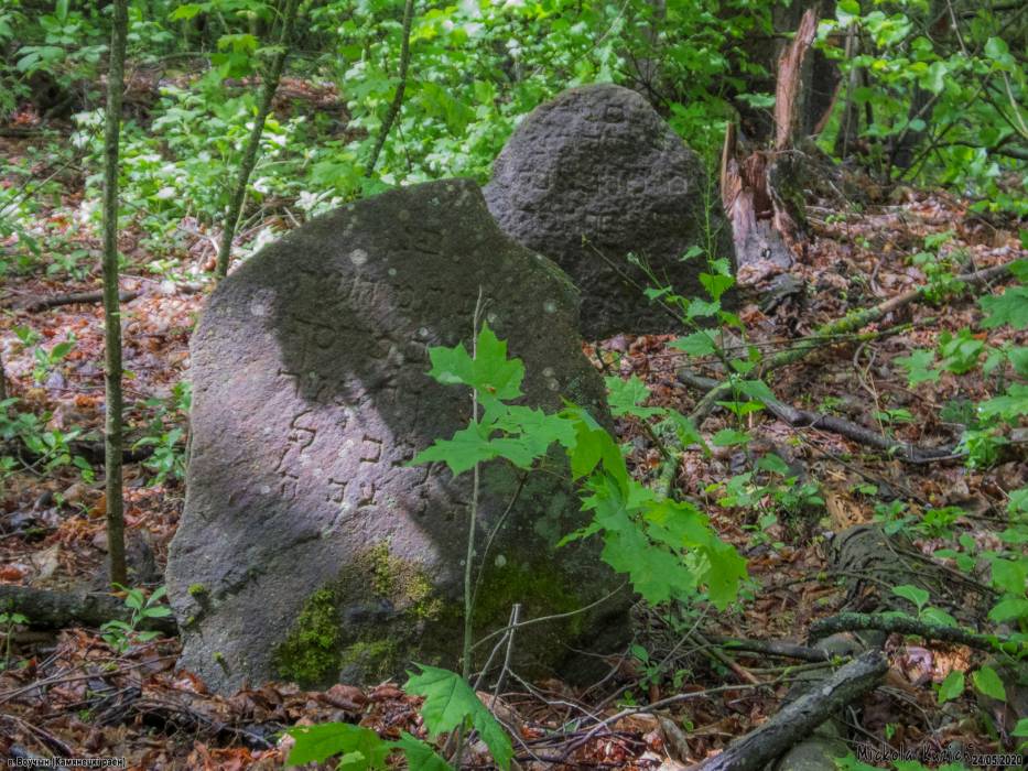 Воўчын. Краявіды 