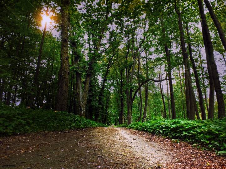 Vysokaje. Estate of Potocki