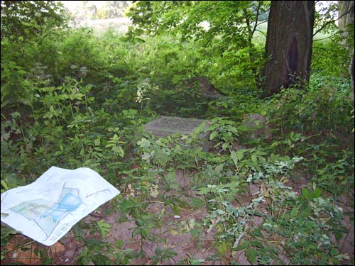 Жухавічы Малыя. Сядзіба 