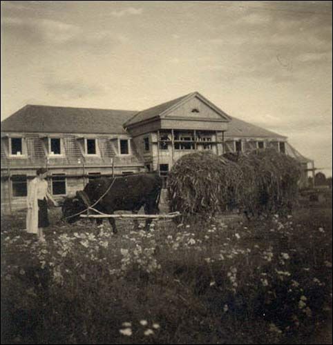  -  Dom Wypoczynkowy. Dom dla studentów. Na pierwszym planie Zofia Buynowska, inż. rolnik