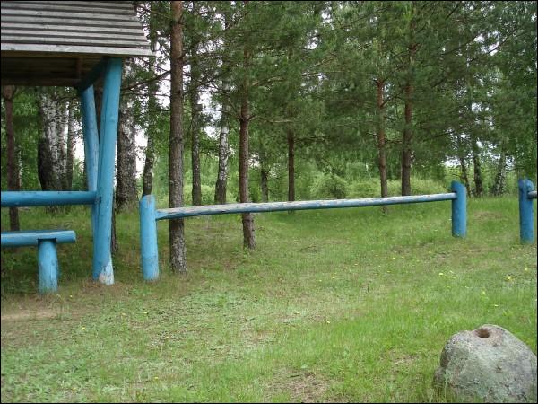 Padzievičy. Orthodox church of the Protection of the Holy Virgin