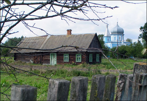 Береза. Пейзажи 