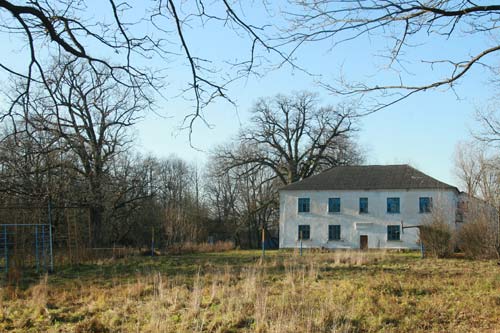 Приусадебный парк при бывшей усадьбе Родзевичей Грушеве. Остатки приусадебного парка  - Приусадебный парк при бывшей усадьбе Родзевичей. Остатки приусадебного парка