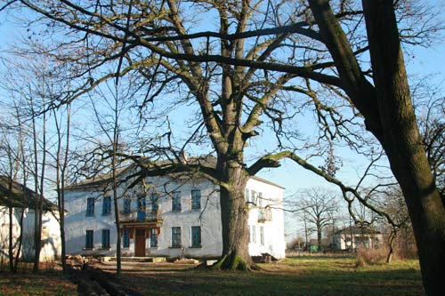 Приусадебный парк при бывшей усадьбе Родзевичей Грушеве. Дуб Девайтис  - Приусадебный парк при бывшей усадьбе Родзевичей. Дуб Девайтис