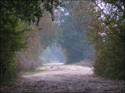 Jaromičy.  Landscapes 