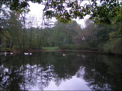 Jeremicze. Krajobrazy 