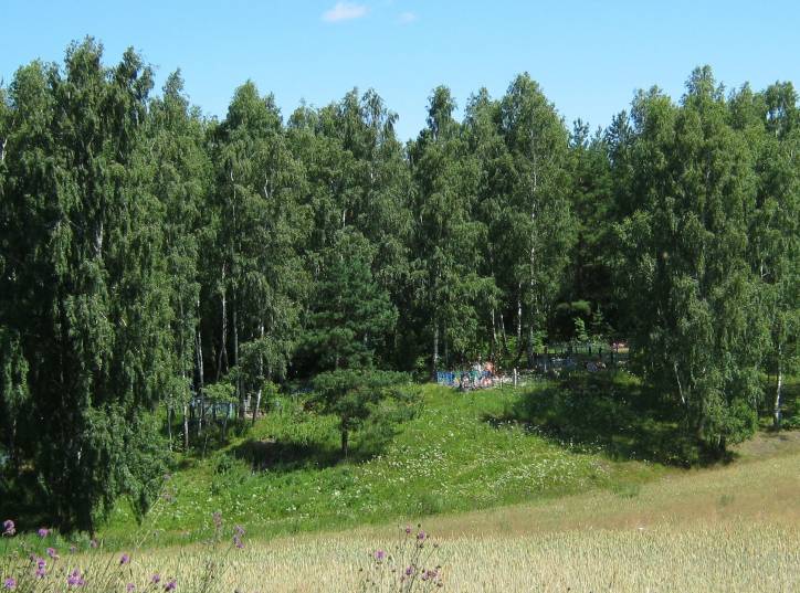 Panizoŭie. Site of ancient settlement 
