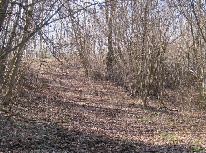 Panizoŭie. Site of ancient settlement 