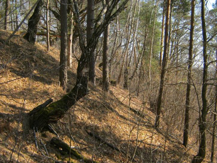 Panizoŭie. Site of ancient settlement 