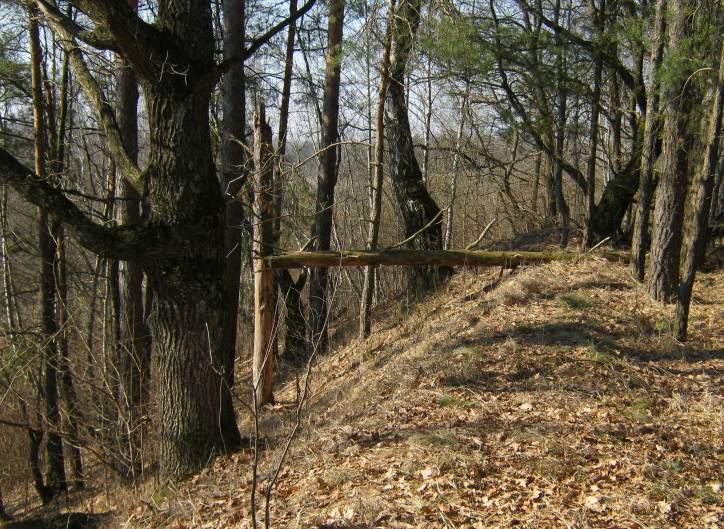 Panizoŭie. Site of ancient settlement 