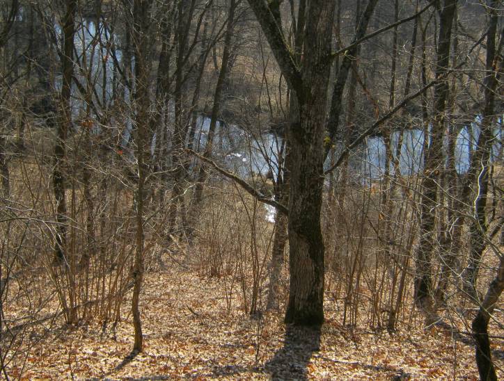 Panizoŭie. Site of ancient settlement 