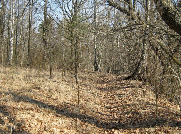 Panizoŭie. Site of ancient settlement 