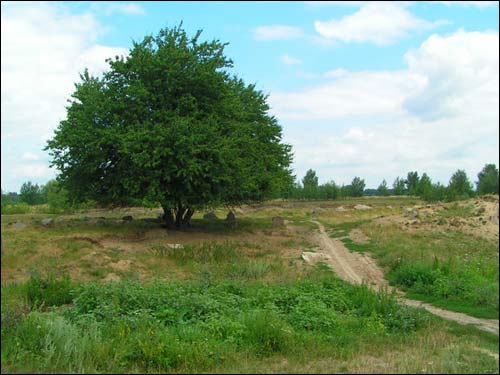 Кобрын. Могілкі габрэйскія