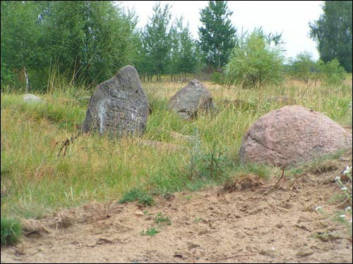 Кобрын. Могілкі габрэйскія