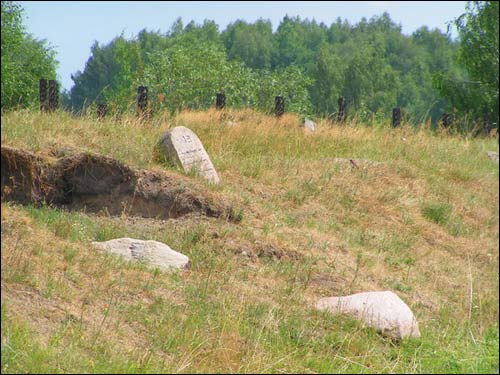 Кобрын. Могілкі габрэйскія