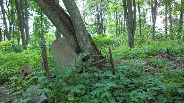 Staroje Siało. In the village 