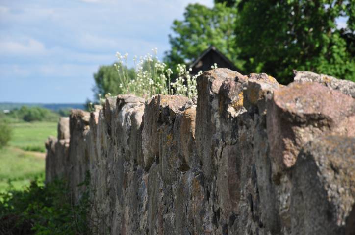 Oborek (Połoczany). Kościół Wniebowzięcia NMP i św. Rocha