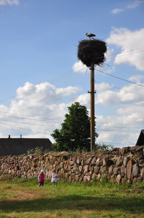 Oborek (Połoczany). Kościół Wniebowzięcia NMP i św. Rocha
