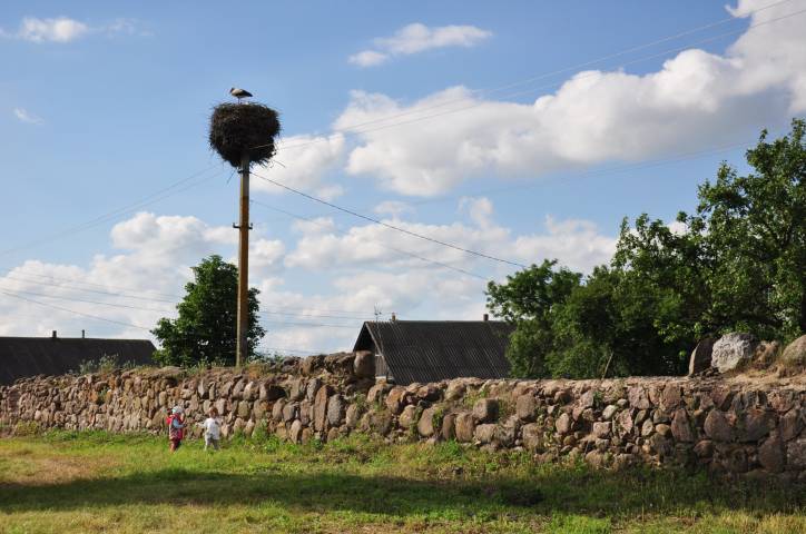Oborek (Połoczany). Kościół Wniebowzięcia NMP i św. Rocha