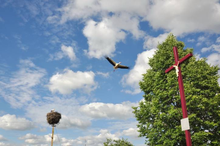 Oborek (Połoczany). Kościół Wniebowzięcia NMP i św. Rocha