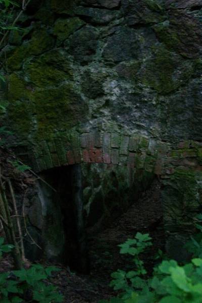 Литвиново |  Приусадебный парк при бывшей усадьбе Шадурских. 