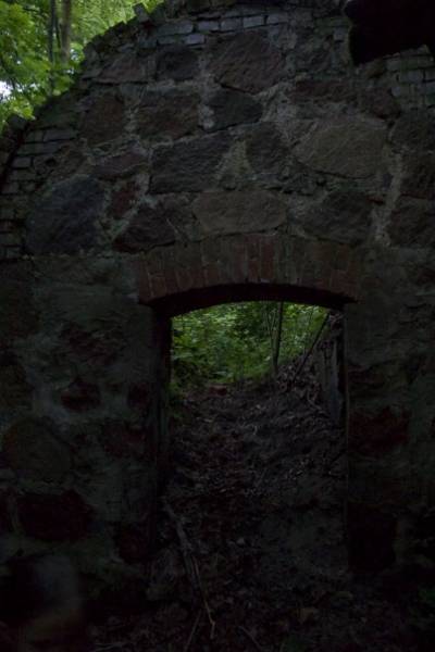  - Приусадебный парк при бывшей усадьбе Шадурских. 