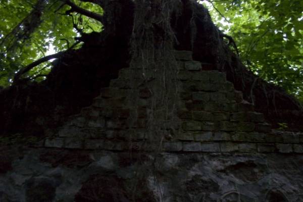 Литвиново |  Приусадебный парк при бывшей усадьбе Шадурских. 