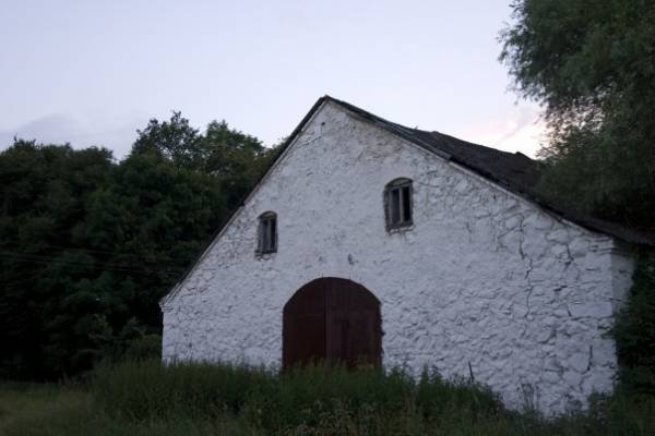 Litvinki. Manor park of the Šadurski former Manor-place