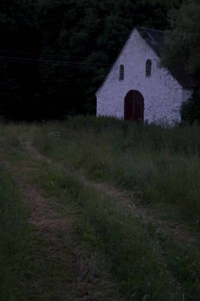 Litvinki. Manor park of the Šadurski former Manor-place