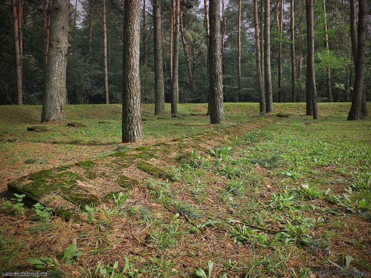 Polatycze. Cmentarz wojenny z I wojny światowej 