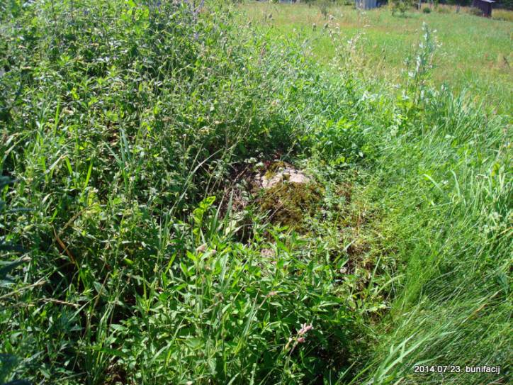 Landscapes  .   - Landscapes .