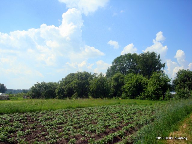 Usaja. Landscapes 