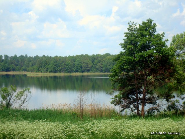 Usaja. Landscapes 
