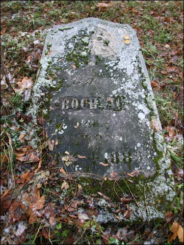  - Cmentarz stary katolicki. Ś.P. Roman Bochwic 1881, syn Ottona